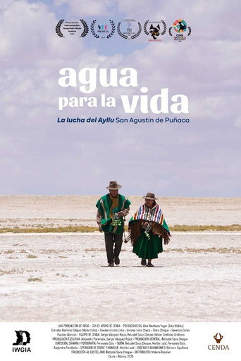 Movie poster for Agua para la vida. La lucha de Ayllu San Agustín de Puñaca (2025)