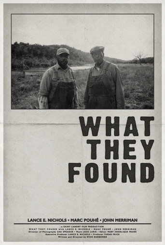 What They Found poster