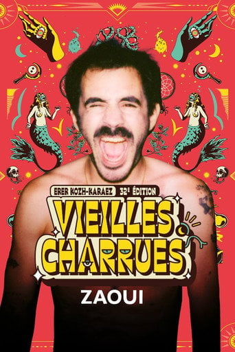 Movie poster for Zaoui en concert aux Vieilles Charrues 2024 (2024)