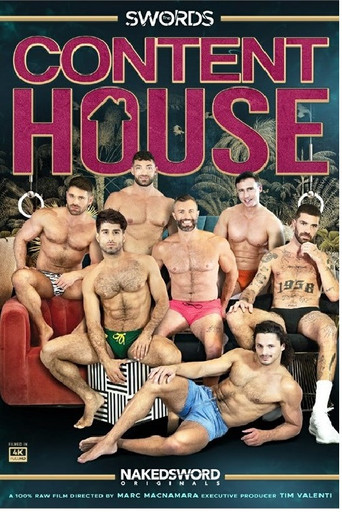 Content House: The Swords poster