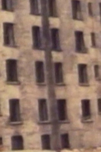 Movie poster for Lower East Side (LES) (1976)
