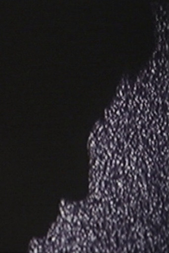 Movie poster for V-GST from The Air-Conditioning System (1997)