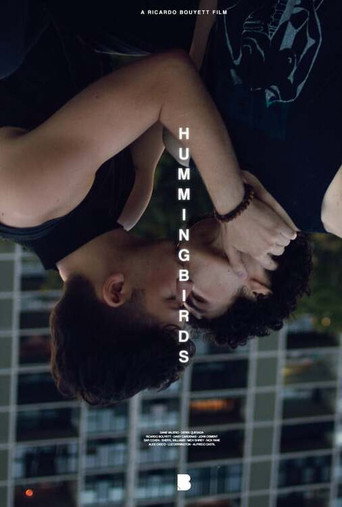 Movie poster for Hummingbirds (2023)