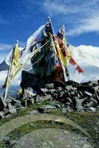 Movie poster for The Sacred Site for Asceticism (1993)