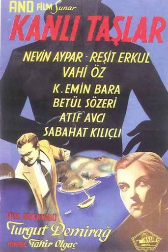 Movie poster for Kanlı Taşlar (1948)