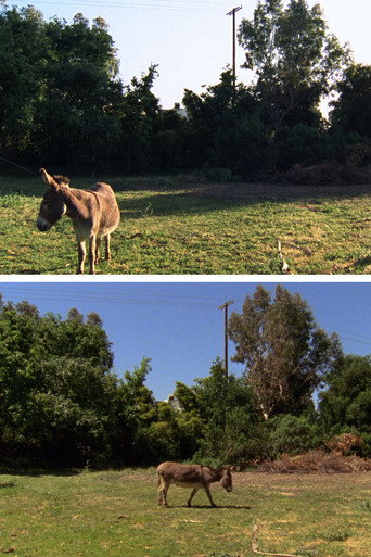 Movie poster for Changed Landscape (2011)