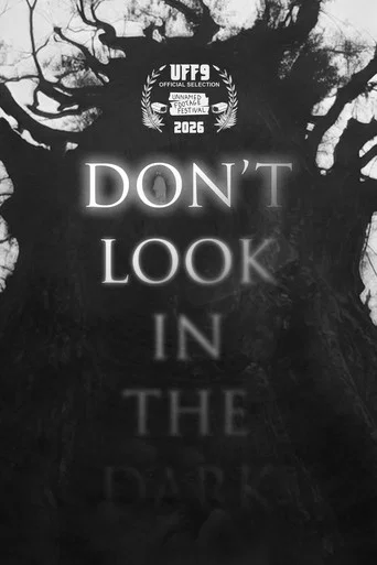 Movie poster for Don't Look in the Dark (2025)