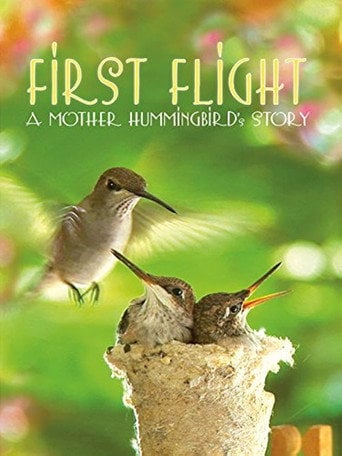 Movie poster for First Flight: A Mother Hummingbird's Story (2009)