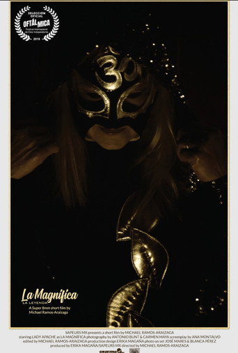 Movie poster for La magnífica