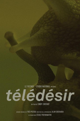 Movie poster for Télédésir (2018)