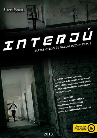Movie poster for Interjú (2013)