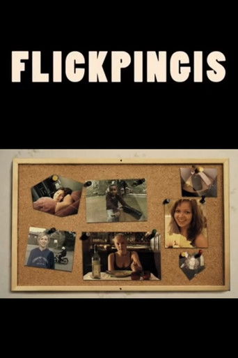 Flickpingis poster