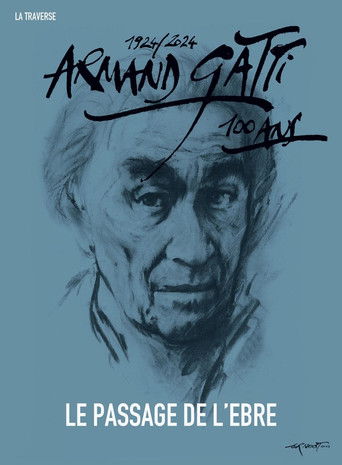 Der Übergang über den Ebro poster