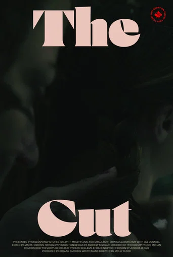 Movie poster for The Cut (2024)