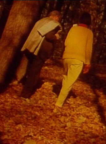 Movie poster for Detel + Jón (1993)