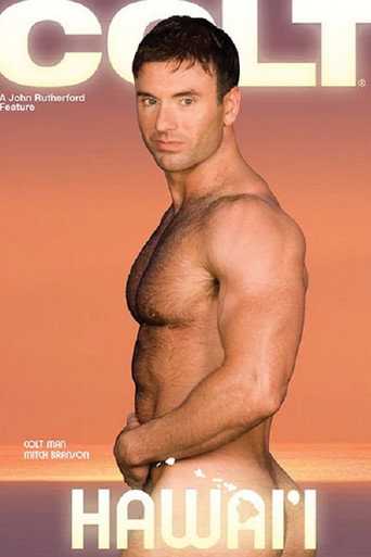 Movie poster for Hawai'i (2007)