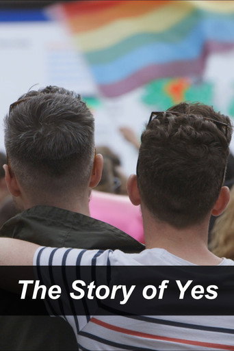 Movie poster for The Story Of Yes (2016)