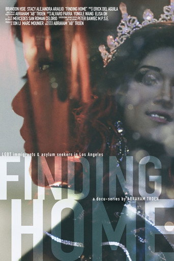 Movie poster for The Finding Home Series (2017)