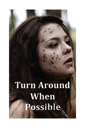 Movie poster for Turn Around When Possible (2014)