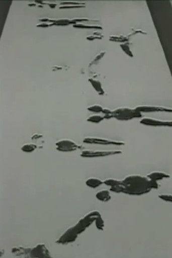Movie poster for Anthropometries of the Blue Period and Fire Paintings (1960)