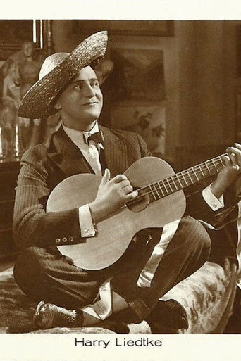 Der Faschingsprinz poster