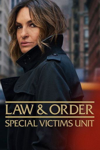 Series poster for Law & Order: Special Victims Unit (1999)