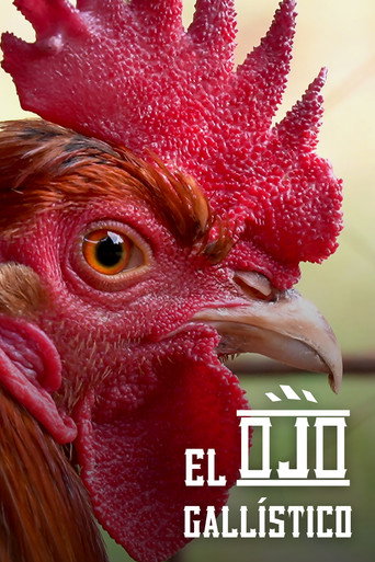 Movie poster for Through the Gaze of the Cockfighter (2022)