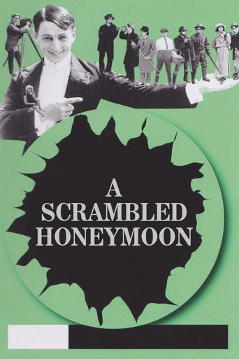 Movie poster for A Scrambled Honeymoon (1916)
