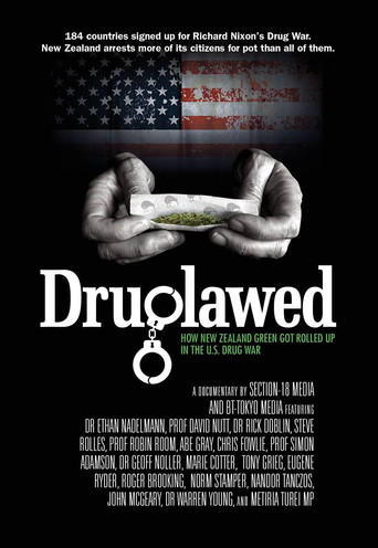 Movie poster for Druglawed (2015)