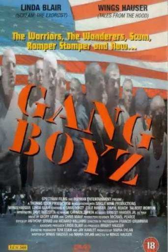 Movie poster for Gang Boys (1994)