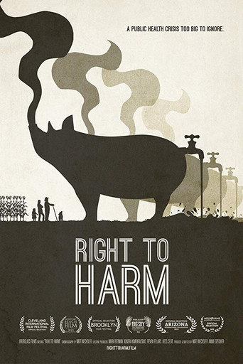 Movie poster for Right to Harm (2019)