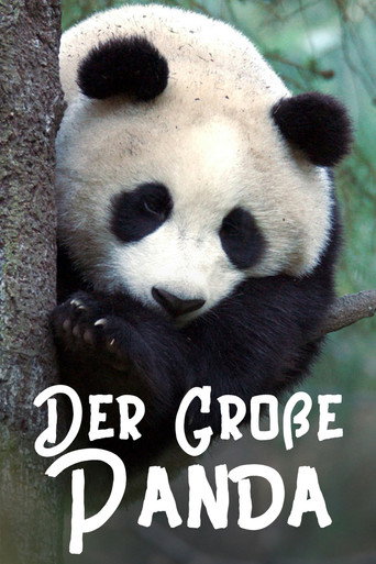 Movie poster for The Giant Panda (2020)