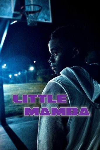 Movie poster for Little Mamba