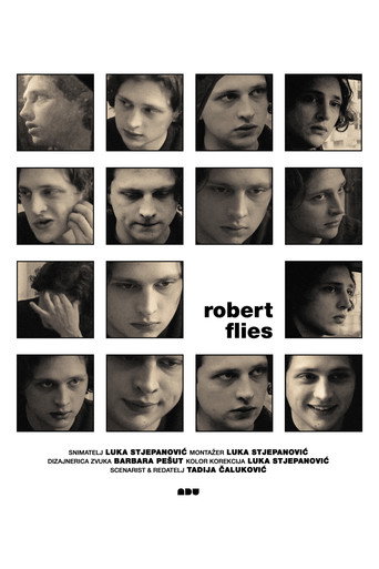 Movie poster for Robert Flies (2025)