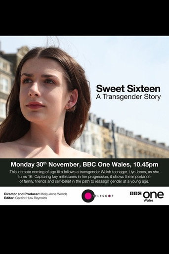 Movie poster for Sweet Sixteen: A Transgender Story (2017)