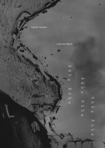 Latitude Mesh poster