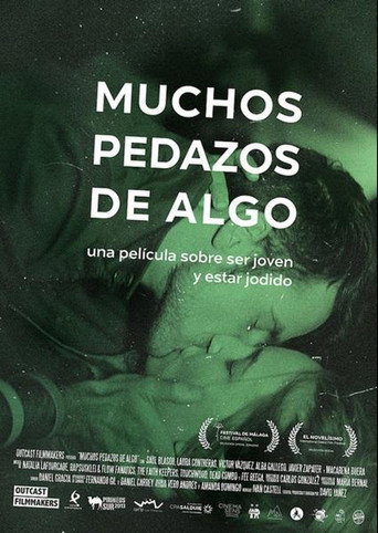 Movie poster for Many Pieces of Something (2015)