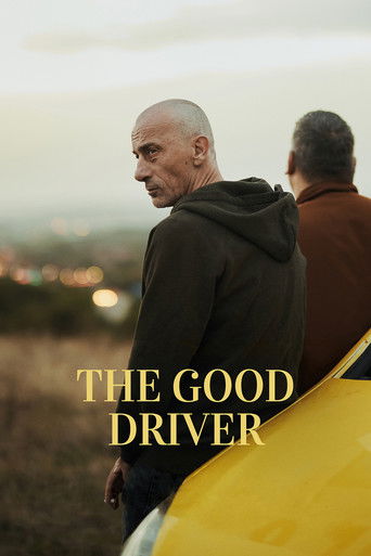 The Good Driver poster