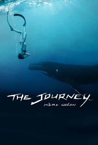 Movie poster for The Journey: Mother Ocean (2016)