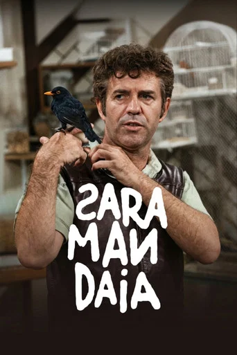 Series poster for Saramandaia (1976)