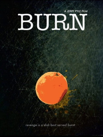 Movie poster for Burn (2011)