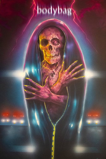 Movie poster for bodybag (2024)