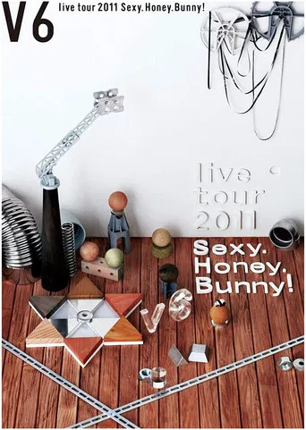 V6 live tour 2011 Sexy.Honey.Bunny! poster