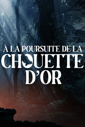 Movie poster for À la poursuite de la chouette d'or (2024)