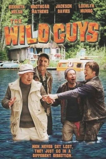 The Wild Guys poster