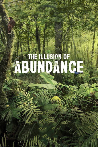 Movie poster for The Illusion of Abundance (2022)