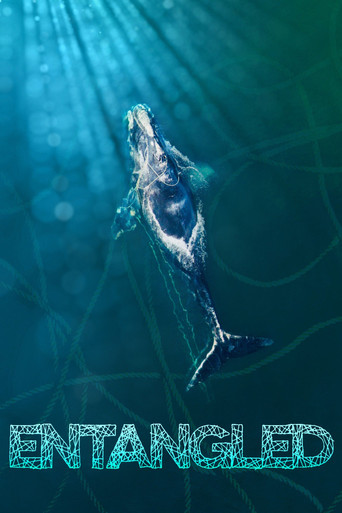 Movie poster for Entangled (2020)