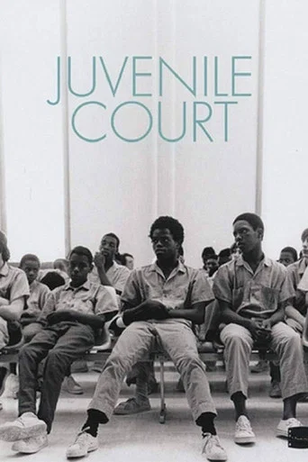 Movie poster for Juvenile Court (1973)