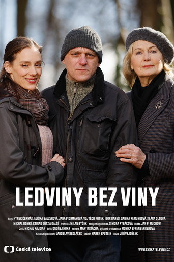 Ledviny bez viny poster