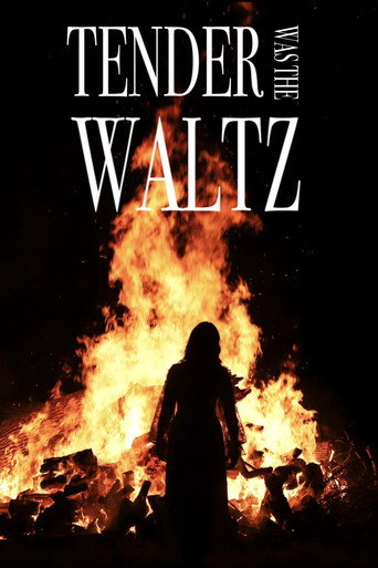 Movie poster for Tender Was The Waltz